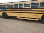 2007 Blue Bird School Bus / Transit Bus