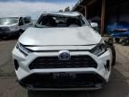 2024 Toyota Rav4 SE