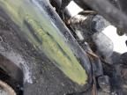 2003 Harley-Davidson XL1200 C Anniversary