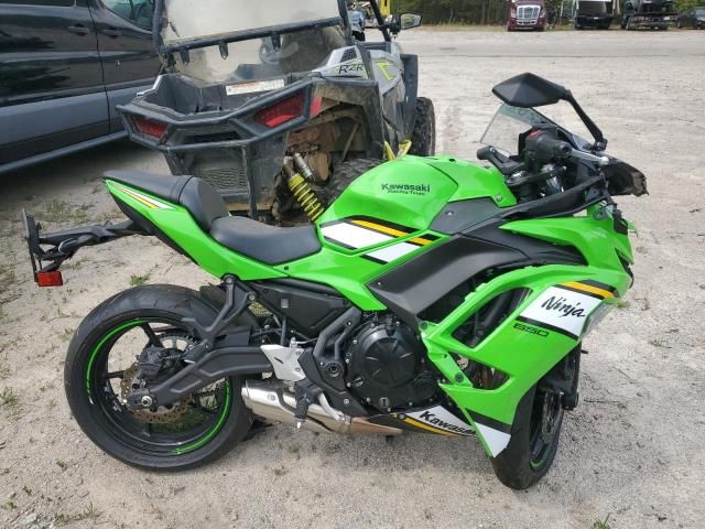 2025 Kawasaki EX650 P