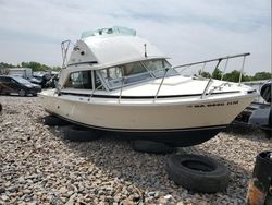 Salvage boats for sale at Montgomery, AL auction: 1974 Bertone 1974 Bertram ALL Models