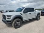 2017 Ford F150 Raptor