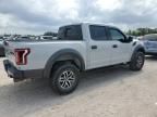 2017 Ford F150 Raptor