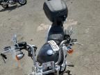 2023 Harley-Davidson Fxst