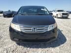 2013 Honda Odyssey EXL