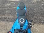 2024 Suzuki GSX800 R