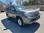 2013 Lexus GX 460