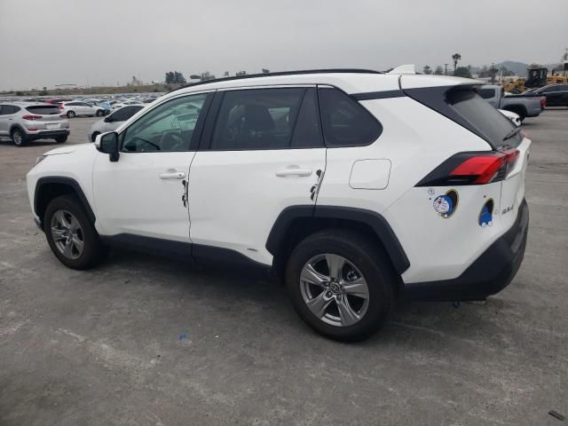2024 Toyota Rav4 XLE