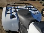 2017 ATV Arctic Cat