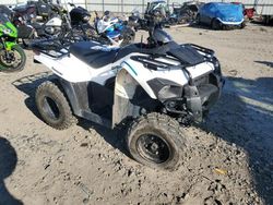 Vehiculos salvage en venta de Copart Glassboro, NJ: 2023 Kawasaki KVF300 C