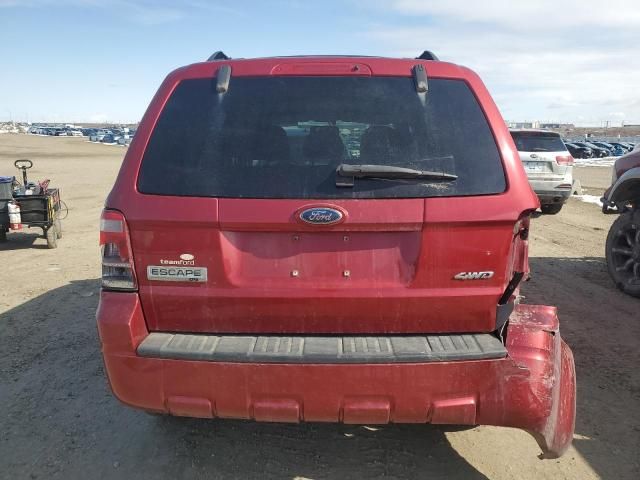 2008 Ford Escape XLT
