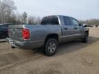 2007 Dodge Dakota Quattro