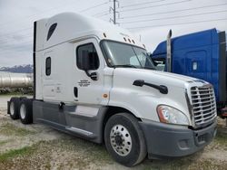 Salvage trucks for sale at Farr West, UT auction: 2019 Freightliner Cascadia 125 Semi Truck
