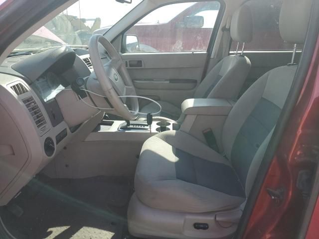 2008 Ford Escape XLT