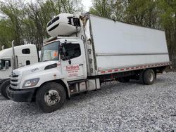 Salvage trucks for sale at York Haven, PA auction: 2016 Hino 258 268