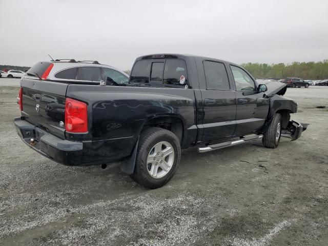 2010 Dodge Dakota SXT