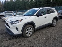 Toyota rav4 salvage cars for sale: 2020 Toyota Rav4 XLE