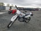 2024 Suzuki DR650 SE