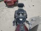 2000 Harley-Davidson Flstc