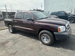 Salvage trucks for sale at Phoenix, AZ auction: 2005 Dodge Dakota Quattro