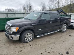 Salvage trucks for sale at Hurricane, WV auction: 2013 Ford F150 Supercrew