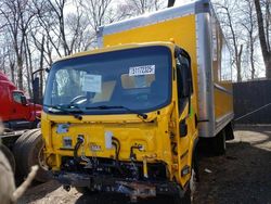 Salvage trucks for sale at New Britain, CT auction: 2023 Isuzu NPR HD
