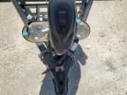2024 Springdale/ Sprinter Travel Trailer