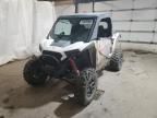 2024 Polaris RZR XP 1000 Sport