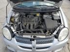 2005 Dodge Neon SXT