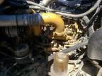 2010 Peterbilt 384 Semi Truck