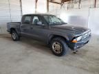 2004 Dodge Dakota Quad Sport