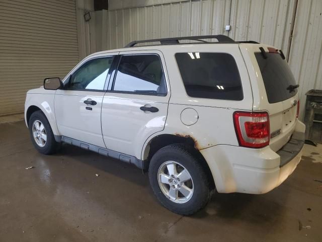2010 Ford Escape XLT