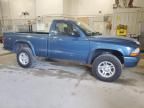 2004 Dodge Dakota SXT
