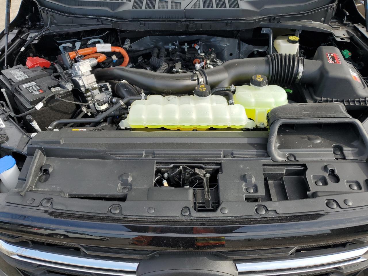 2024 Ford F150 xlt