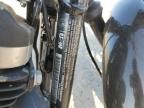 2020 Harley-Davidson XL883 N