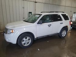 2010 Ford Escape XLT en venta en Franklin, WI