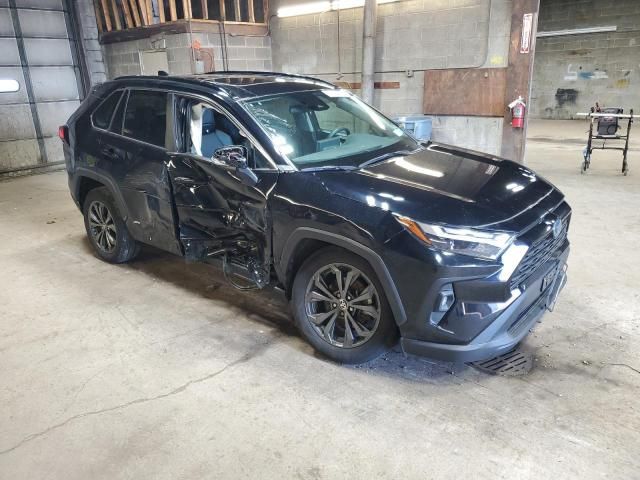 2022 Toyota Rav4 XLE Premium