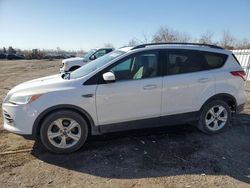 2014 Ford Escape SE for sale in London, ON