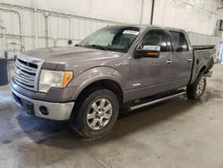 Ford salvage cars for sale: 2013 Ford F150 Supercrew