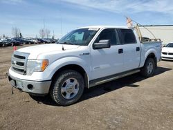 Ford f150 Supercrew salvage cars for sale: 2014 Ford F150 Supercrew