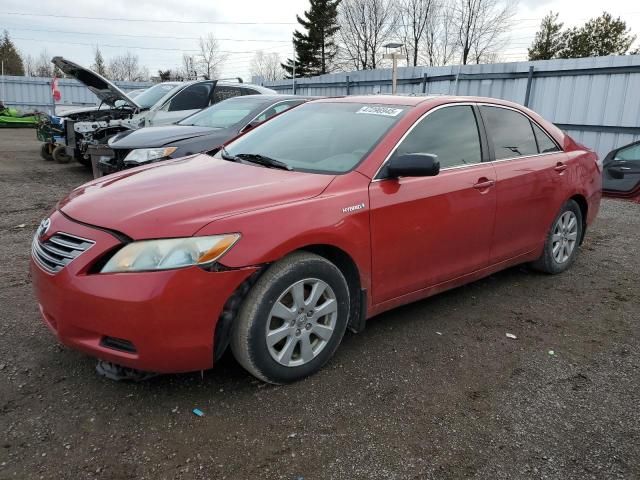 2008 Toyota Camry Hybrid