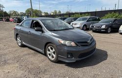 Toyota Corolla salvage cars for sale: 2011 Toyota Corolla Base