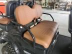 2023 Icon Golf Cart