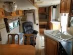 2006 North Country Artic Fox