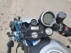 2019 Ducati Scrambler Desert Sled