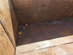 2021 American Made Products Dump Trailer