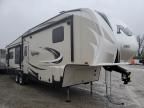 2017 Other 2017 'OTHER RV' RV
