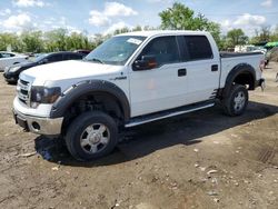 Ford salvage cars for sale: 2013 Ford F150 Supercrew