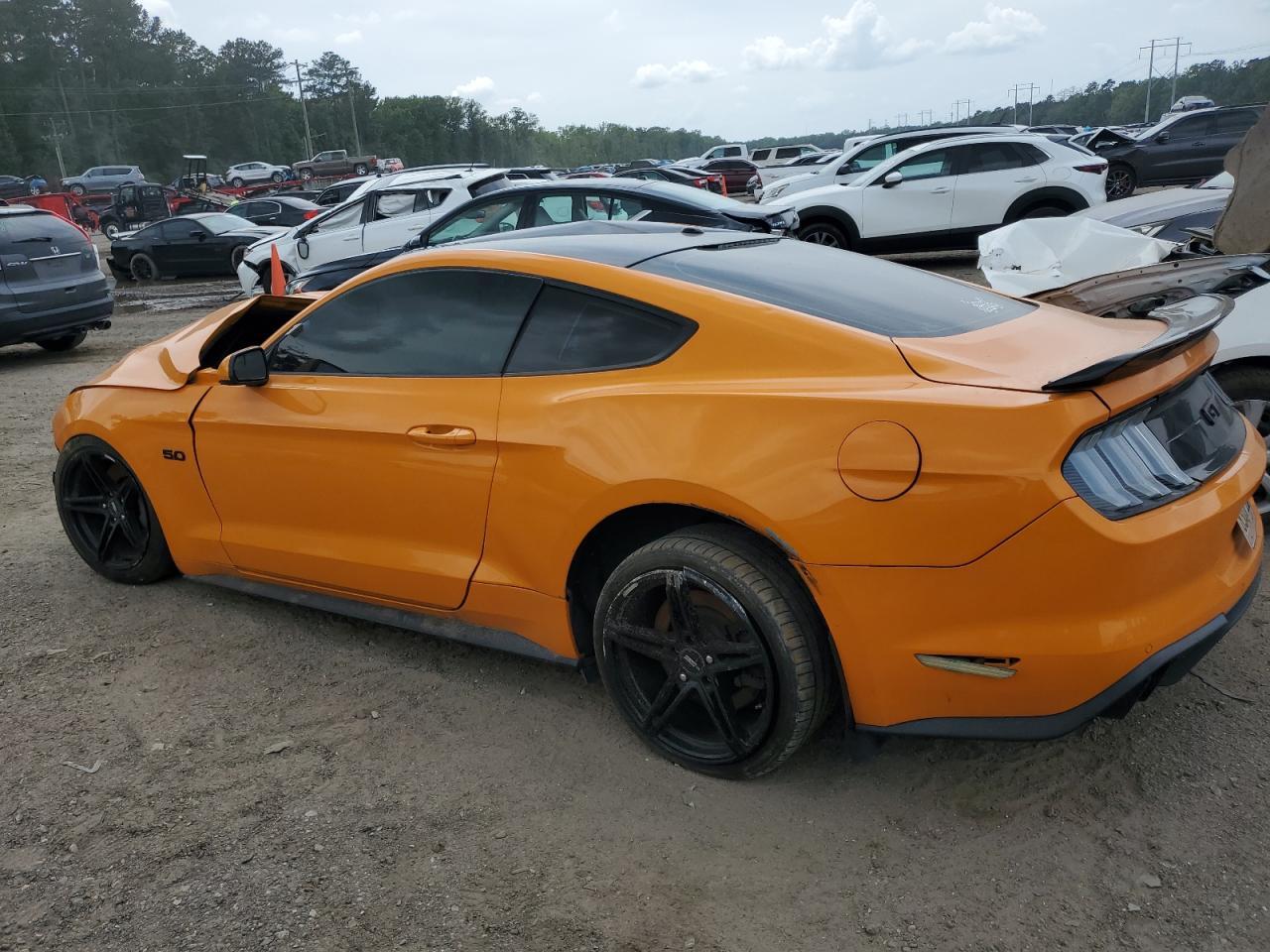 2019 Ford Mustang gt
