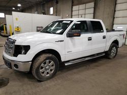2014 Ford F150 Supercrew en venta en Blaine, MN